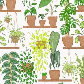 My favorite things: plants (medium size version)