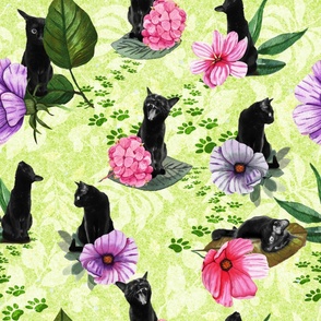 Black cats for luck (green)