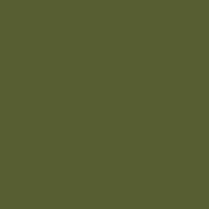 Khaki solid #565e32  - dark olive green - coordinate for Retro Christmas  2022