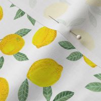 Lemons on White Smallscale