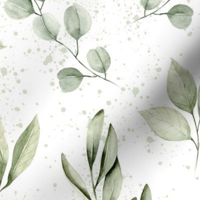 large // watercolor eucalyptus, olive leaf, greenery, leaves, plants, foliage on white with paint splatter// edition 2 