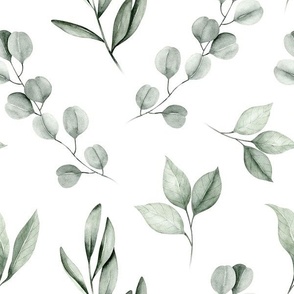 large // watercolor eucalyptus, olive leaf, greenery, leaves, plants, foliage on white // edition 1