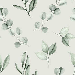 large // watercolor eucalyptus, olive leaf, greenery, leaves, plants, foliage on light green// edition 1 