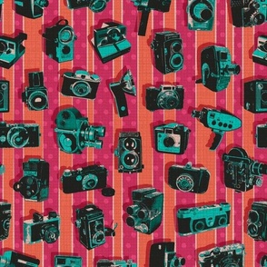 Paloma Pop Art Camera Stripe (Pink Coral Aqua) - Small