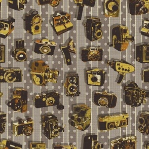 Paloma Pop Art Camera Stripe (Yellow Gold Grey) - Small