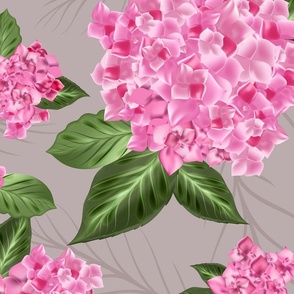 Hydrangeas - 1772 jumbo // pink on Taupe