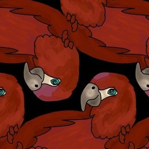 Topsy Turvy Parrots in Scarlet Red