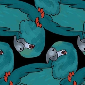 Topsy Turvy Parrots in Turquoise on Black