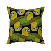 Topsy Turvy Parrots in Yellow and Green