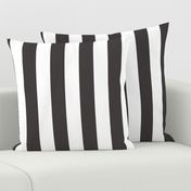 Classic 2 Inch Graphite and White Modern Cabana Upholstery Stripes