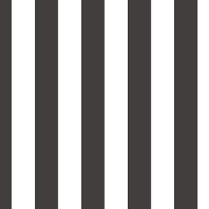Classic 2 Inch Graphite and White Modern Cabana Upholstery Stripes