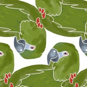 Topsy Turvy Green Parrots on White