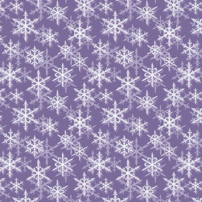 Snowflakes Sparkle