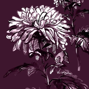  Monochrome chrysanthemums in bloom