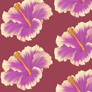 pink and peach hibiscus dark red background tropical flower