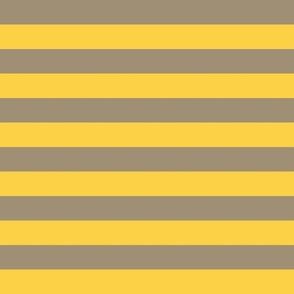 Horizontal stripes yellow and gray