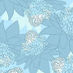 King Protea Floral - Light Blue