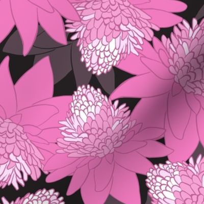 King Protea Floral - Pink on Black