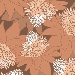 King Protea Floral - Brown