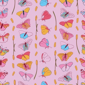 Butterflies arranged in rows