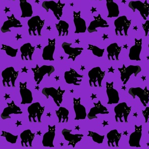 Black cats and stars ditzy tossed on purple.