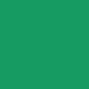 Irish Flag Green Simple Solid Color