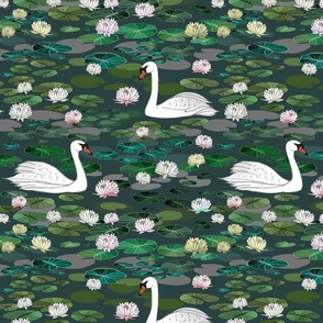 Serene Swans Swimming in a Lily Pad Pond  