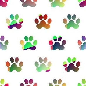 Paw Prints