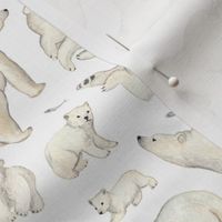polar bears watercolour