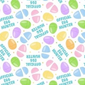 (small scale) Official Egg Hunter - Easter eggs - plastic Easter egg hunt - rainbow blue  - LAD22