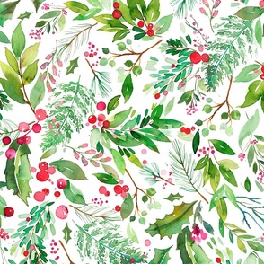 Christmas plants Botanical watercolor Medium