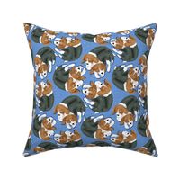 Sleeping Beagle Puppies on Light Blue