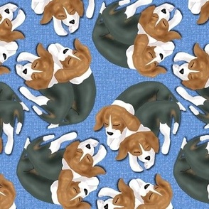 Sleeping Beagle Puppies on Light Blue