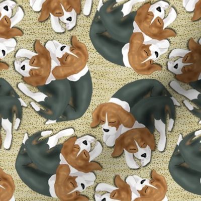Sleeping Beagle Puppies on Beige