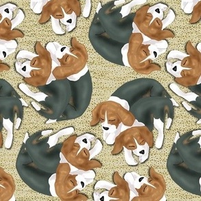 Sleeping Beagle Puppies on Beige