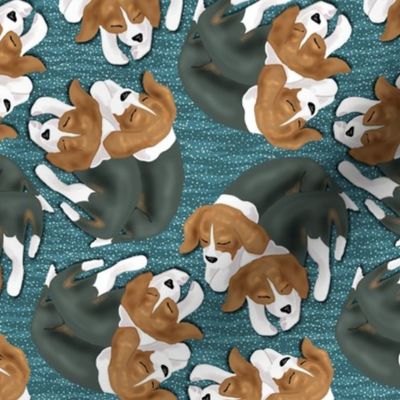 Sleeping Beagle Puppies on Blue