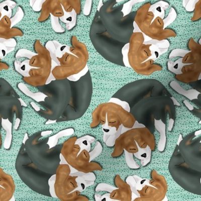 Sleeping Beagle Puppies on Turquoise