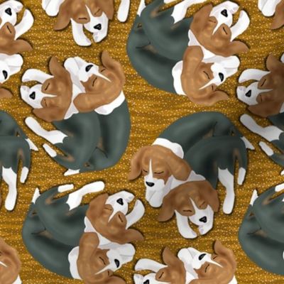Sleeping Beagle Puppies on Golden Brown