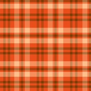 fall plaid gingham pattern in  orange, brown and beige 
