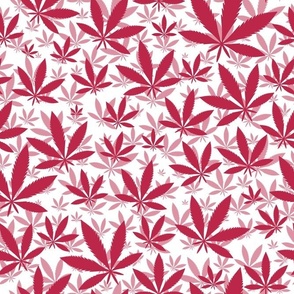 Bigger Scale Marijuana Cannabis Leaves Viva Magenta and White