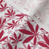 Smaller Scale Marijuana Cannabis Leaves Viva Magenta and White