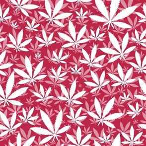 Bigger Scale Marijuana Cannabis Leaves Viva Magenta and White