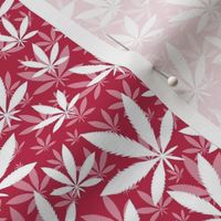 Smaller Scale Marijuana Cannabis Leaves Viva Magenta and White