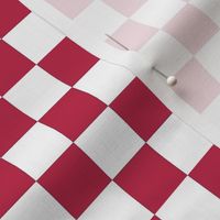 Small Scale Bold Checker Viva Magenta and White