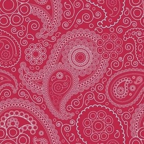 Smaller Scale Viva Magenta Paisley