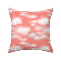 Salmon Pink Cloudy Sky (small scale) 