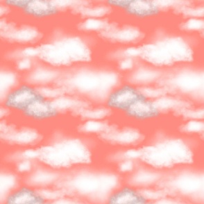 Salmon Pink Cloudy Sky (small scale) 