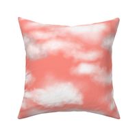 Salmon Pink Cloudy Sky 