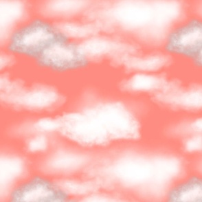 Salmon Pink Cloudy Sky 