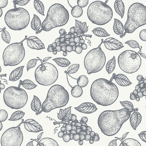 Vintage fruits in engraving style.